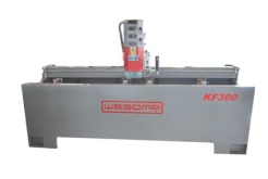 KF 300